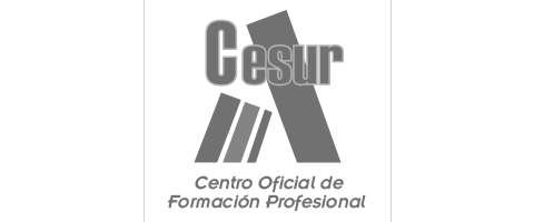cesur@2x